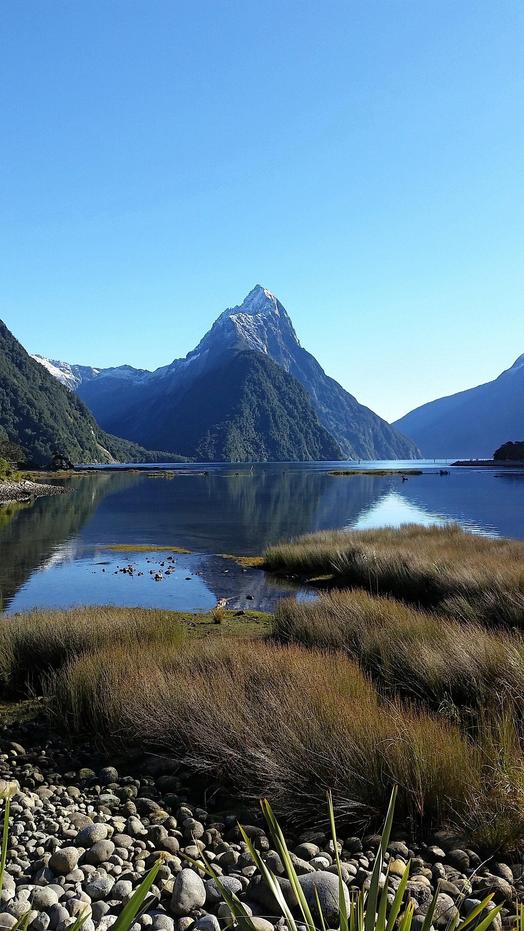 Milford Sound cliffs and water