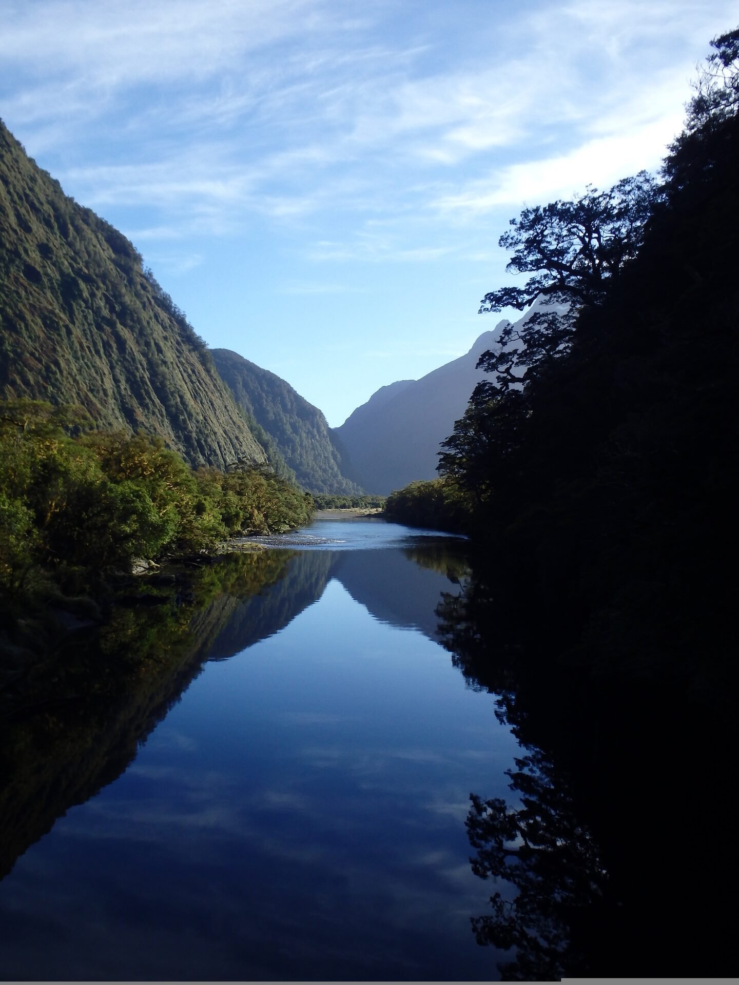 Fiordland River and Native Bush
