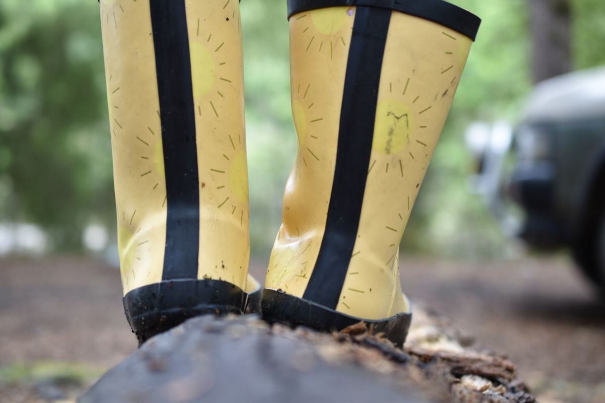 Hiking Through Fiordland Forest