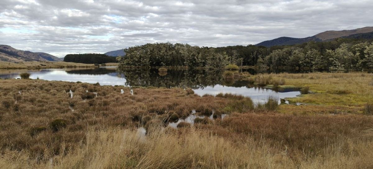 Te Araroa Trail Mavora Lakes Rd